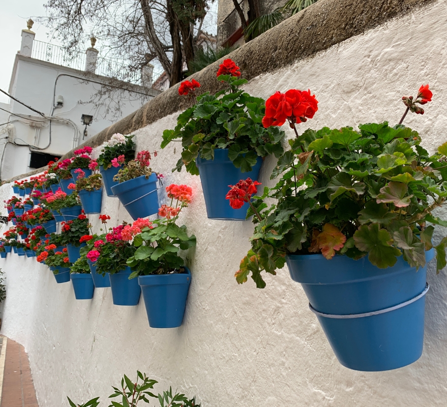 Casco antiguo de Marbella con macetas azules