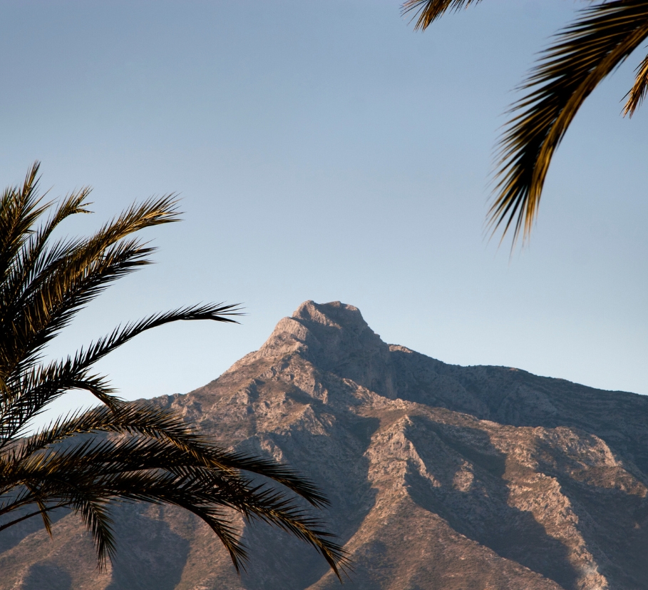 Palmeras y La Concha - el entorno privilegiado de los spas de Marbella